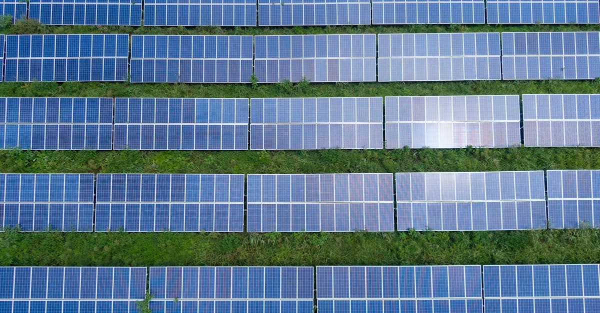 Cover Image for Harnessing the Sun: Unlocking the Power of Solar Panels for a Sustainable Future